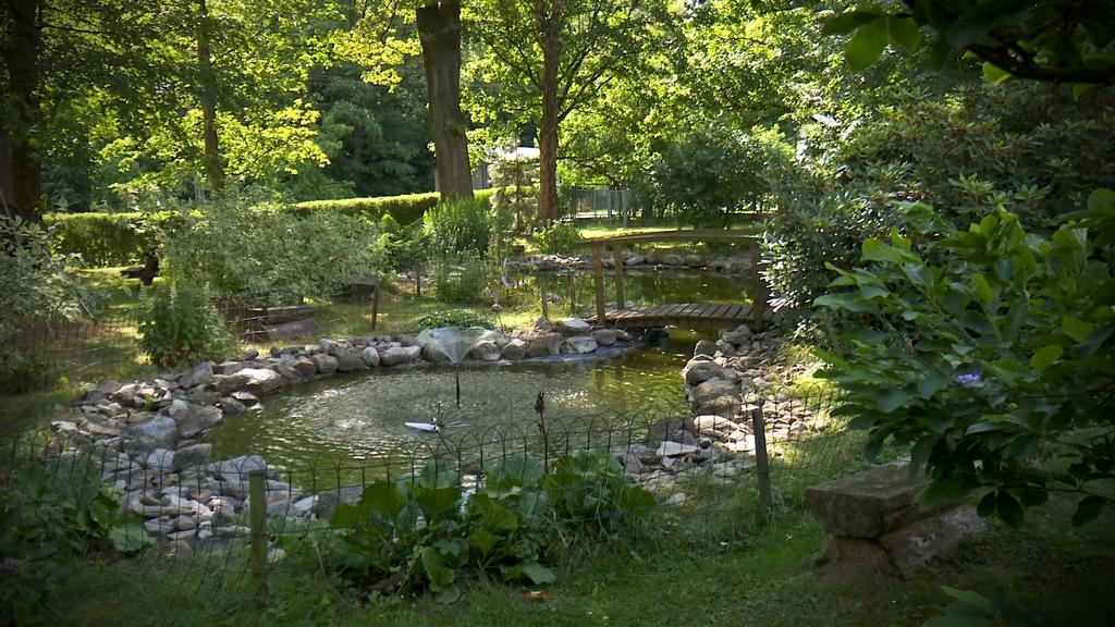 Sowia Dolina - Gory Sowie Pieszyce Exteriör bild